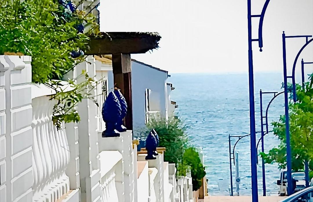 Photo of Others in Sector P - Palmito