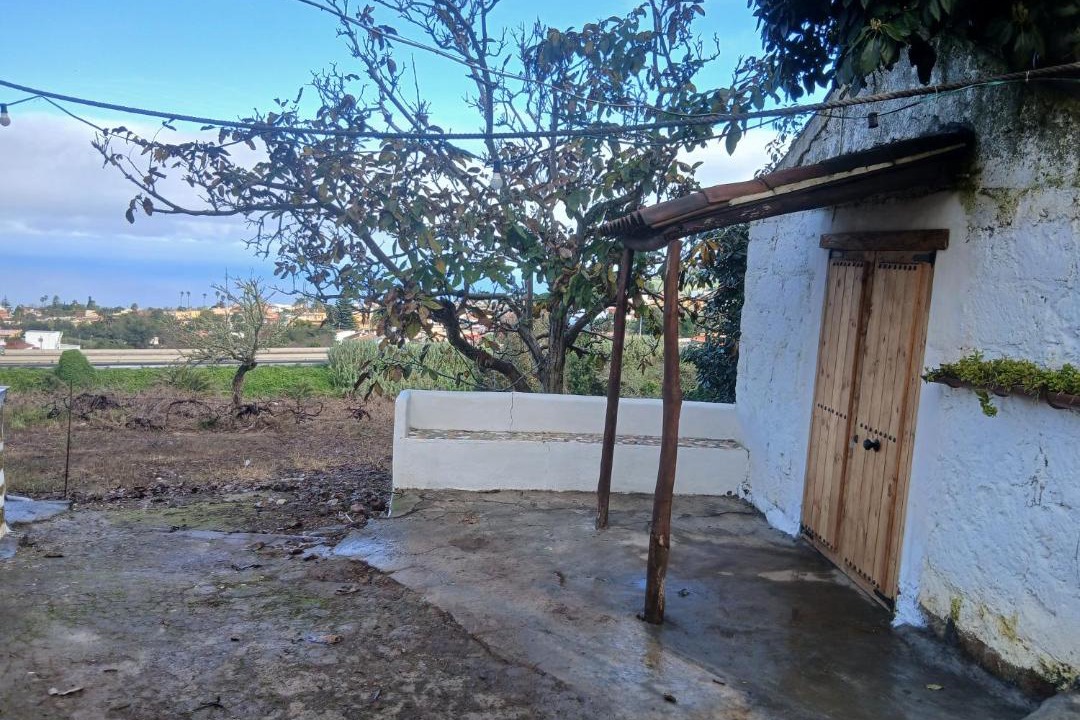 Photo of Others in Tacoronte