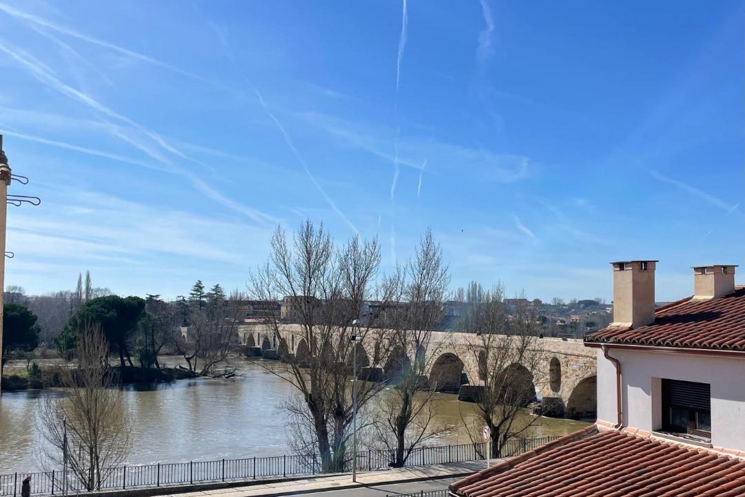 Photo of Others in Zamora