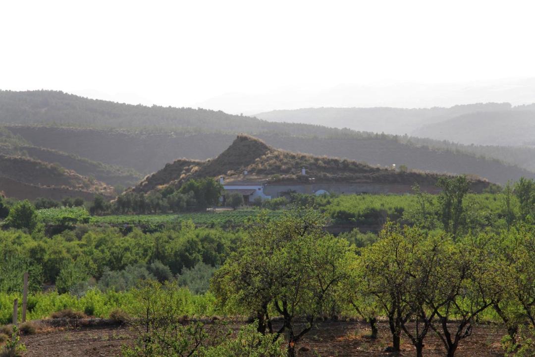 Photo of Others in Cortes y Graena