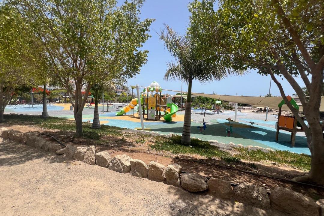 Photo of Others in Las Chafiras