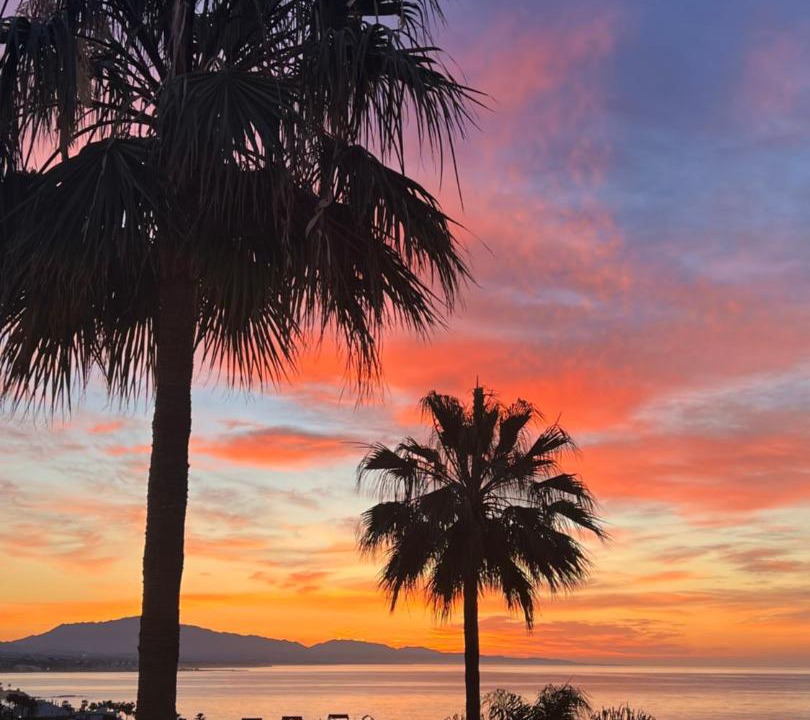 Photo of Others in Bahia de Casares