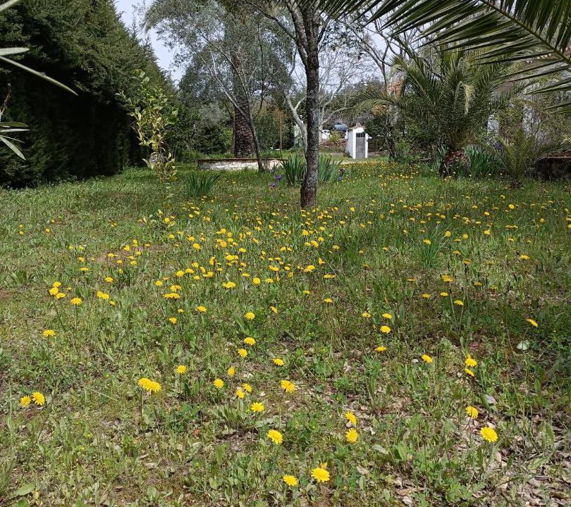 Photo of Outdoor in Aracena
