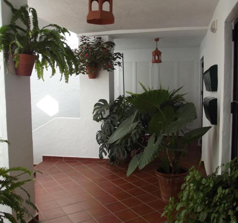 Photo of Patio Balcony in Conil de la Frontera City Center