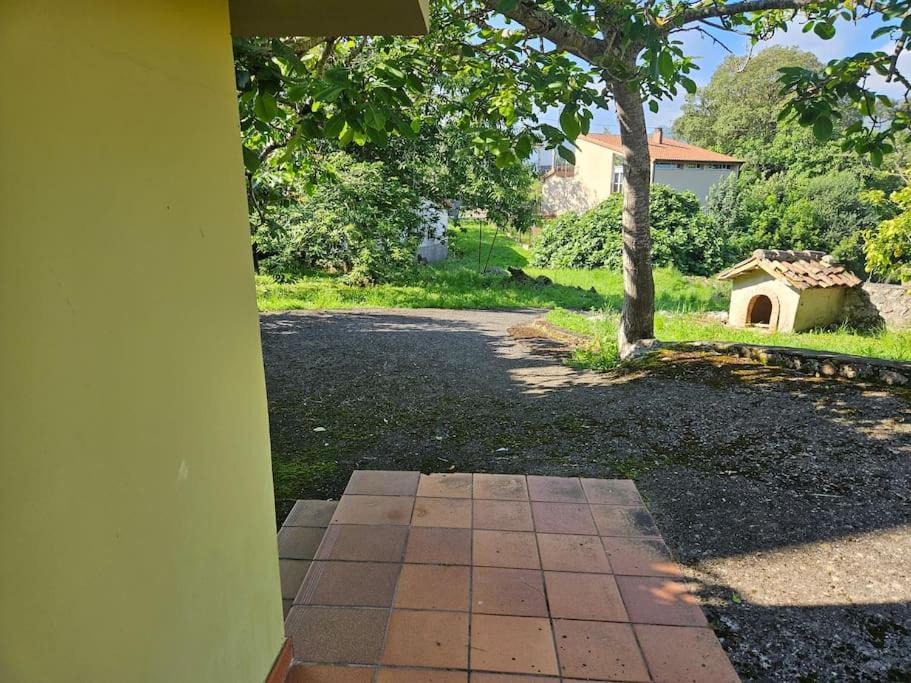 Photo of Others in Sebreno
