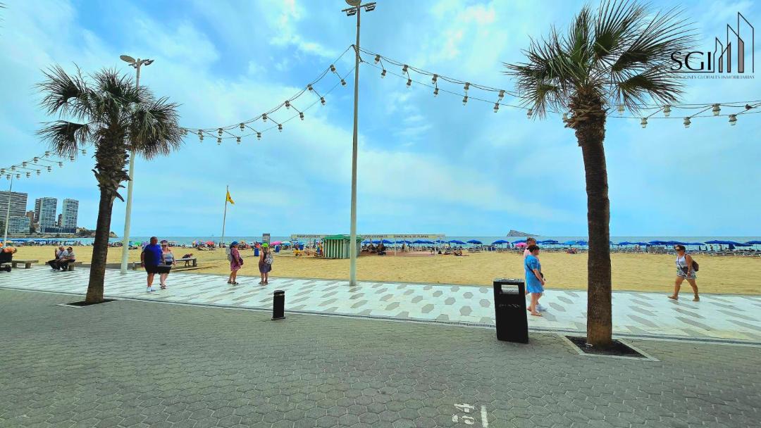 Photo of Others in Benidorm
