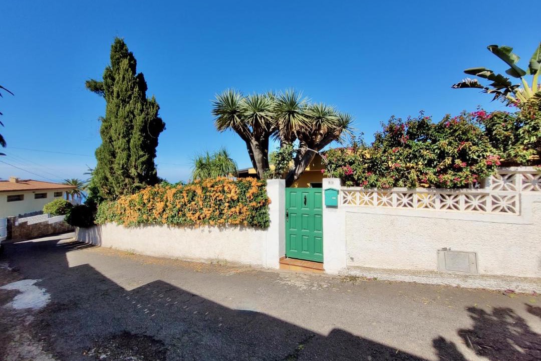 Photo of Others in Tacoronte