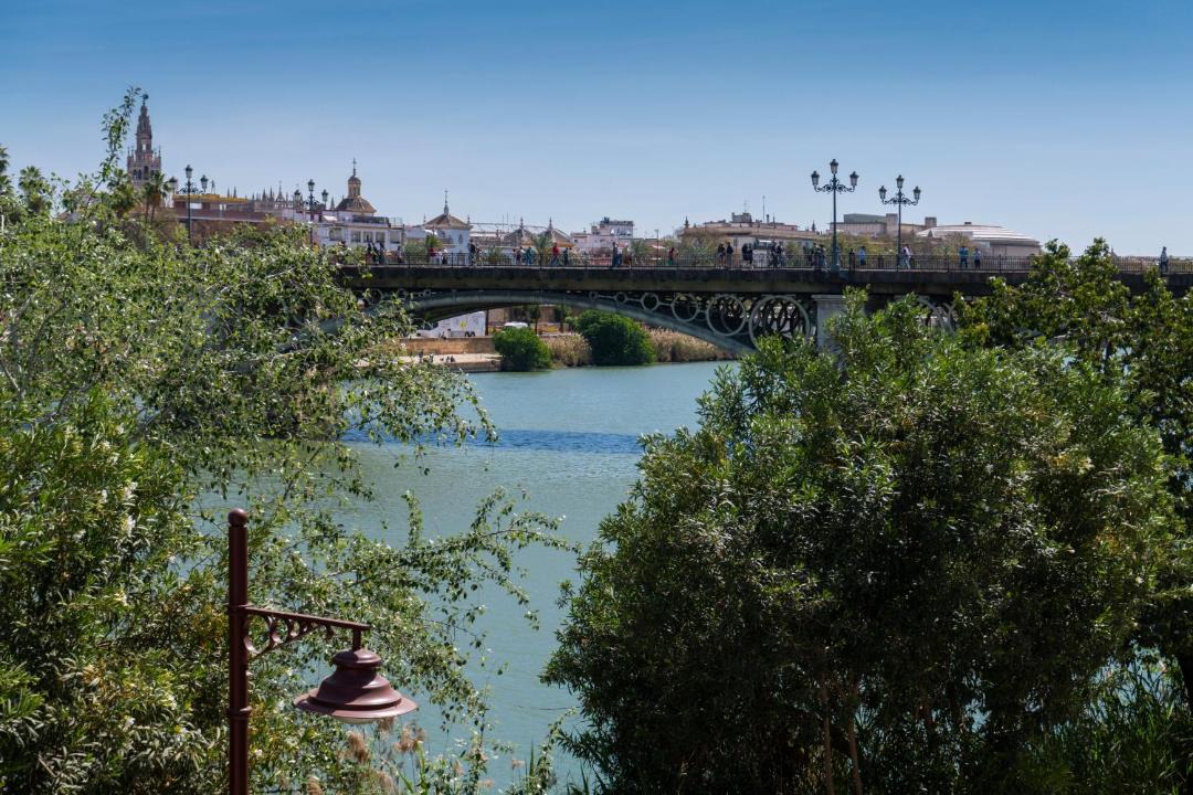 Photo of Others in Triana
