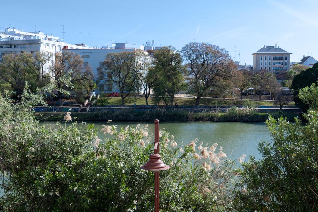 Photo of Others in Triana