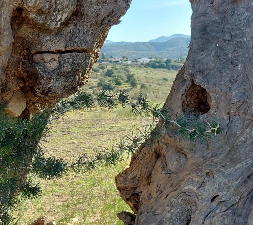 Photo of Others in Vinuela