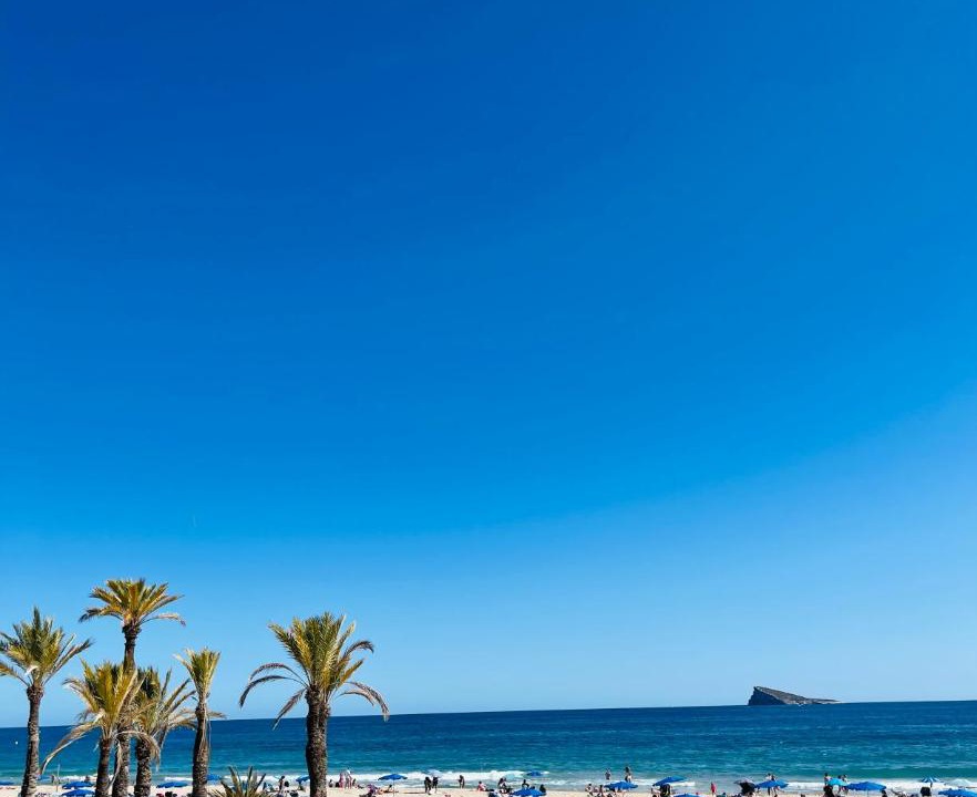 Photo of Others in Benidorm