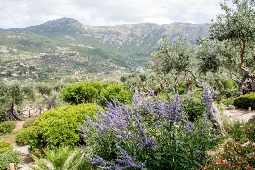 Photo of Others in Deia