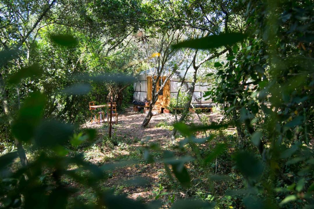 Photo of Others in Medina-Sidonia