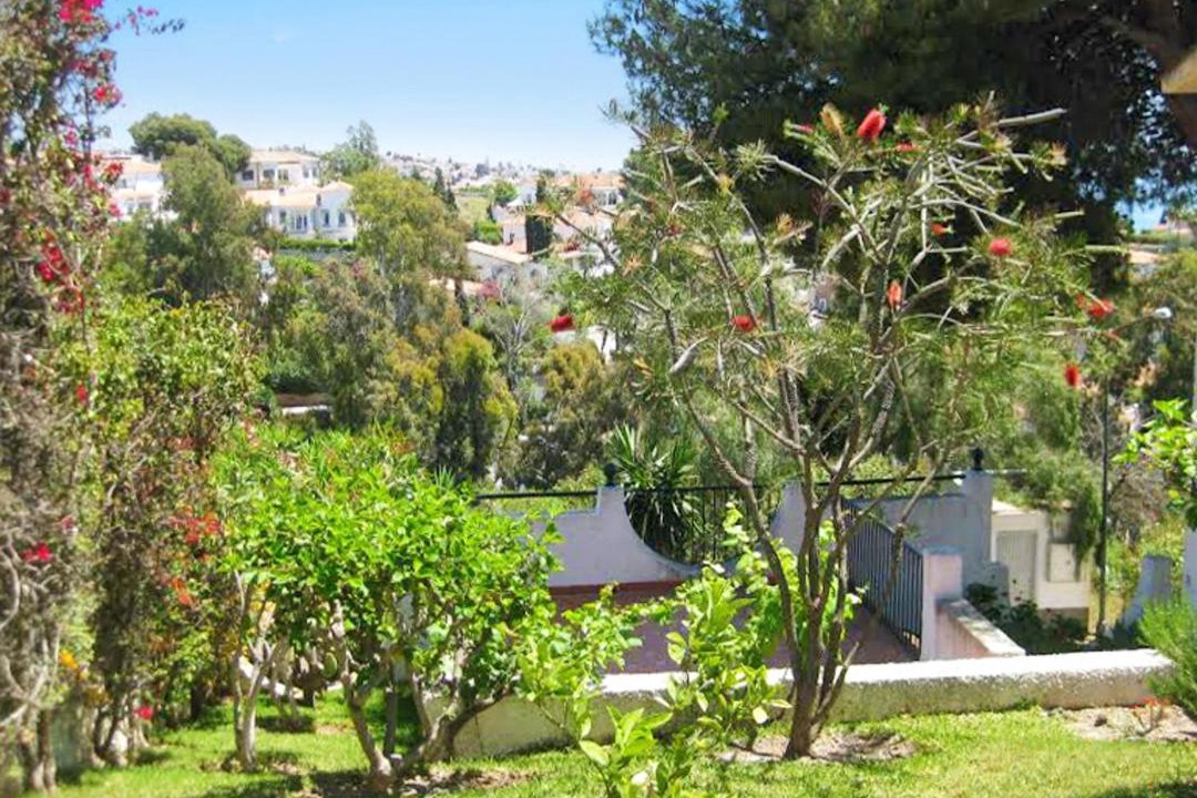 Photo of Others in Benajarafe