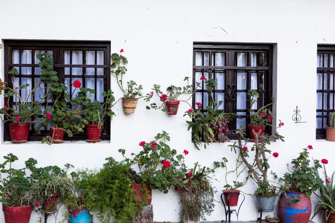 Photo of Others in Hondarribia Historic Center