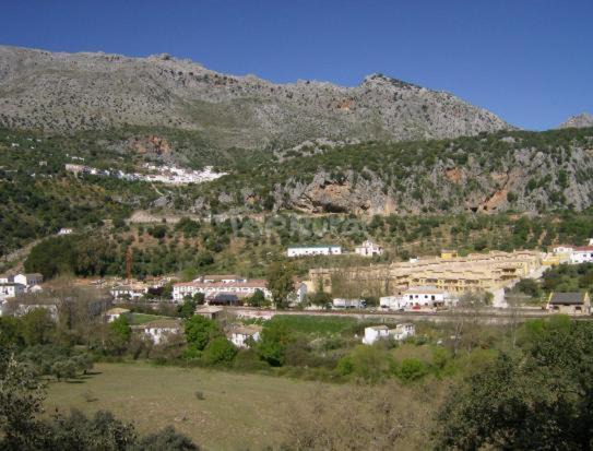 Photo of Others in Benaojan