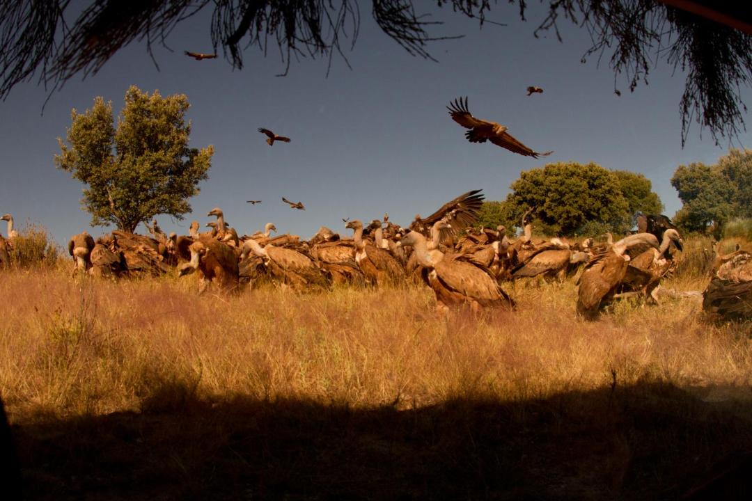 Photo of Others in Espeja