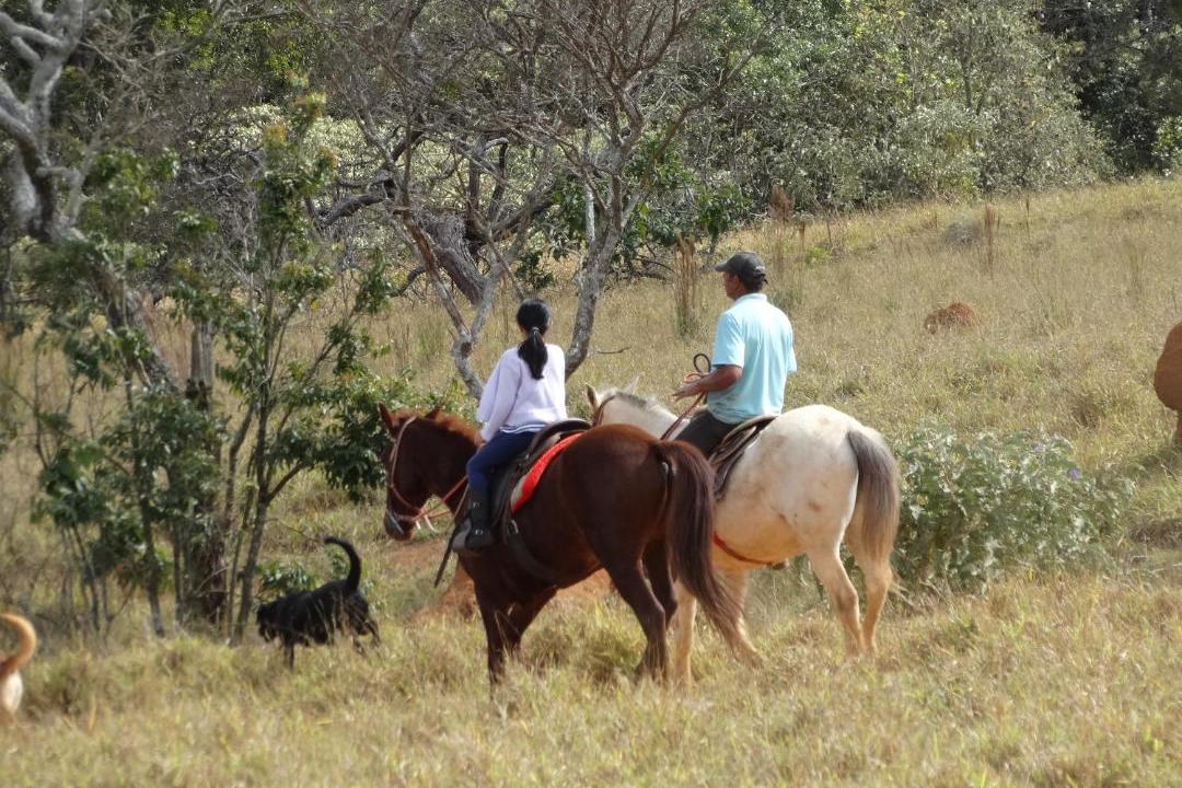 Photo of Human In Picture in Aiuruoca