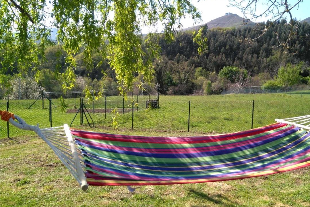 Photo of Outdoor in Pando
