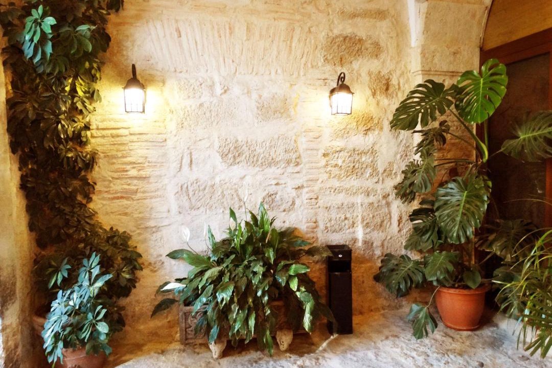 Photo of Others in Ciudad Rodrigo