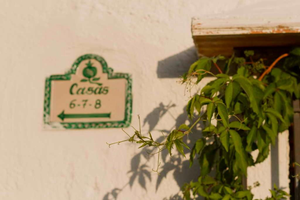 Photo of Others in La Zubia