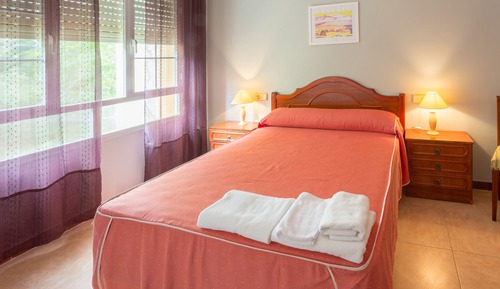 Basic Double Room