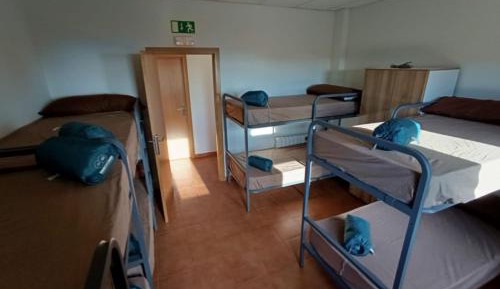 Bed in 8-Bed Dormitory Room