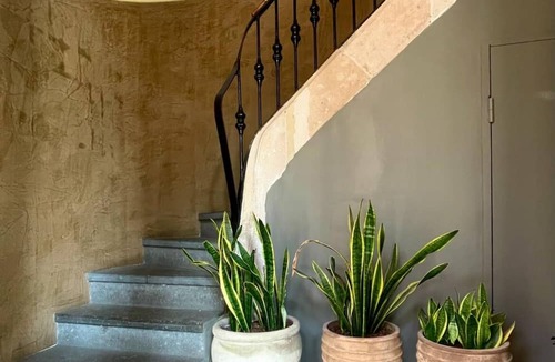 Ciutat Vella Bed & Breakfast | Porxos Garden