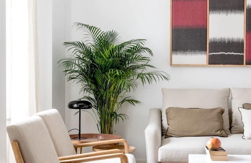 Alfalfa Apartment | Hommyhome Tetuán 15 Boutique - 203