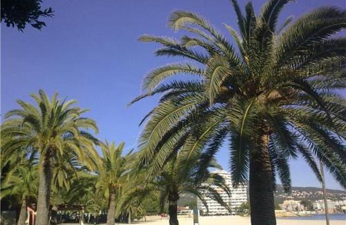 Palmanova House | Hostal Roberto