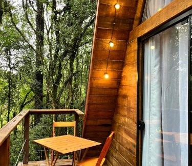 Garibaldi Ski Chalet | Chalé da Roça - Garibaldi