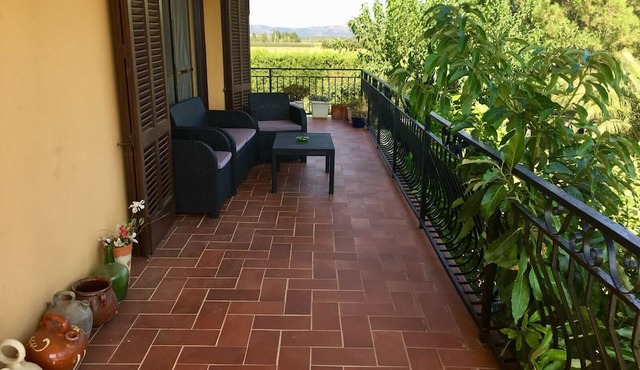 Mas Turró - Castelló d'Empúries
