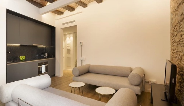 Superior Deluxe One Bedroom Apartment