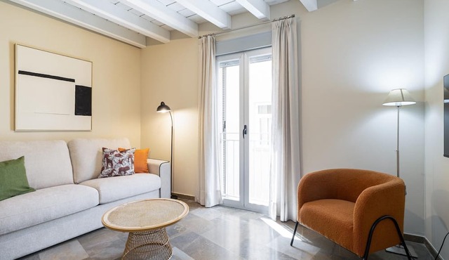 H2Granada Rooftop Terrace & Parking & Pet Friendl