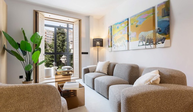 Elegant 3BD apartment in Valladolid. Solanilla II