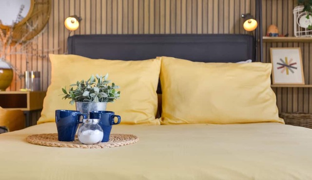 Vacation Apartment 'Estudio Universidad En La Laguna' with Terrace, Shared Garden and Wi-Fi
