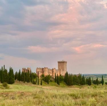 Alojamientos Palacete in Peñaranda de Duero