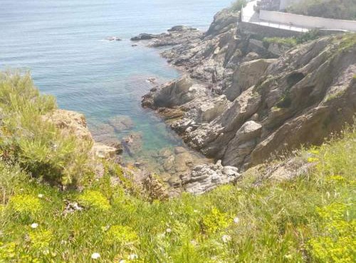 Camino Santiago Sant Jordi